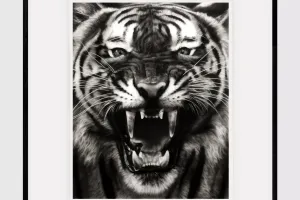 Robert Longo