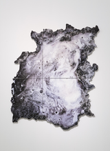 Corporate - 21743 cm by Xu Zhen contemporary artwork photography