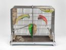 For Your Living Room - For Nostalgic Purpose by Tetsumi Kudo contemporary artwork Painting