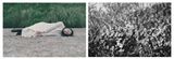 Flourishing by Chen Qiulin contemporary artwork photography