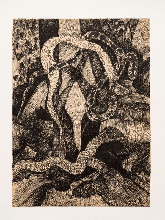 Untitled from the BlackWhite Animals series by Wanda Pimentel contemporary artwork Works on Paper