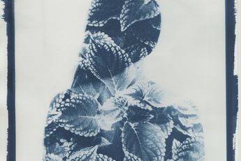 Ben Felten contemporary artist