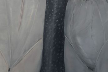 Contemporary art exhibition Jelena Telecki Jelena Telecki at Starkwhite Auckland New Zealand