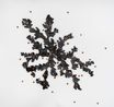 LIquen Quinchamali Quinchamali Lichen by Leo Battistelli contemporary artwork Sculpture