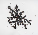 LIquen Quinchamali Quinchamali Lichen by Leo Battistelli contemporary artwork sculpture
