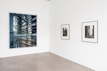 Contemporary art exhibition Thomas Struth Thomas Struth at Galerie Greta Meert Online Only Belgium