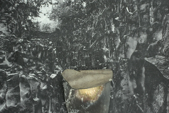 Der Tiefenglanz - Gavin Hipkins and Karl Fritsch contemporary artist