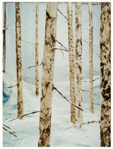 The Other Day M I by Sonja Braas contemporary artwork print