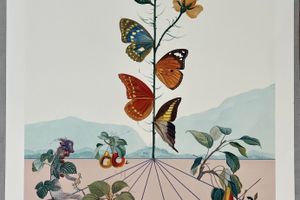 Salvador Dali