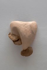 Studies for potential metamorphoses IX by Yasam Sasmazer contemporary artwork sculpture