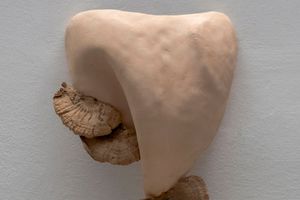 Yasam Sasmazer