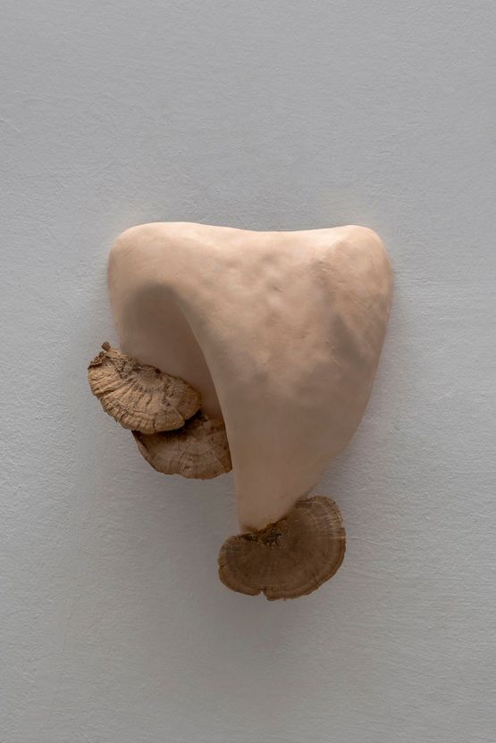 Studies for potential metamorphoses IX by Yasam Sasmazer contemporary artwork Sculpture