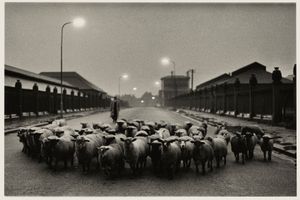 Don Mccullin