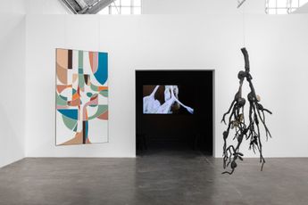 Contemporary art exhibition Naufus Ramirez-Figueroa Mimosa tenuiflora at Mendes Wood DM Sao Paulo Brazil