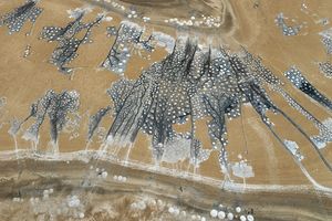 Edward Burtynsky