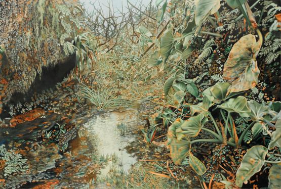 Soufriere Guadeloupe by Franz Gertsch contemporary artwork Painting