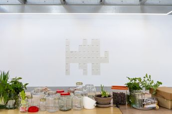 Contemporary art exhibition Stolon Press and Chui Lee Luk Live feed at 1301SW Sydney Australia