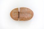 Blown across the divide by Liz Larner contemporary artwork Sculpture
