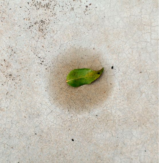 Untitled from the series umido by Cao Guimaraes contemporary artwork Photography