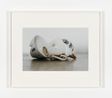 Sul tavolo 144 by Alessandra Spranzi contemporary artwork Photography