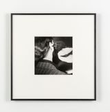 Untitled Rose and Magpie 1 by Rose Finn-Kelcey contemporary artwork photography