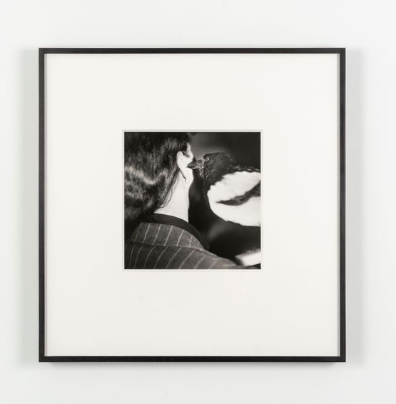 Untitled Rose and Magpie 1 by Rose Finn-Kelcey contemporary artwork Photography