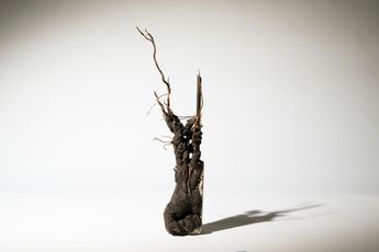Emeric Chantier contemporary artist