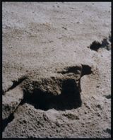 Orange Bowl Sandblow  Described by Chantelle Griffiths by Conor Clarke contemporary artwork photography
