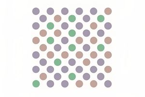 Bridget Riley