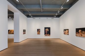 Contemporary art exhibition David Smalling Elizabethan Collar at Templon New York United States