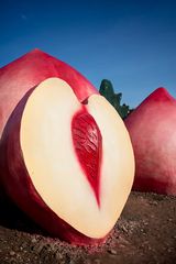 2017-04 by Feng Li contemporary artwork photography