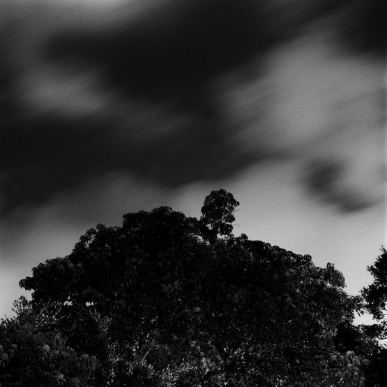 Stillness Echoes 01 by Rusty Fox contemporary artwork Print
