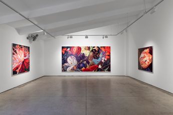 Contemporary art exhibition Tim Maguire Lost and Found at Martin Browne Contemporary Sydney Australia