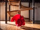 Encruzilhadas Crossroads Lina Bo Bardi - A Marvellous Entanglement by Isaac Julien contemporary artwork Photography