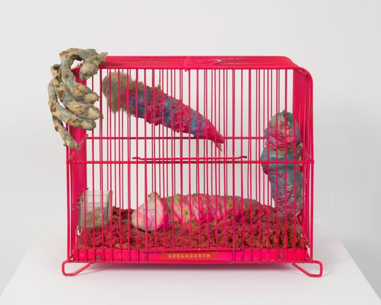 Coelacanth by Tetsumi Kudo contemporary artwork Sculpture