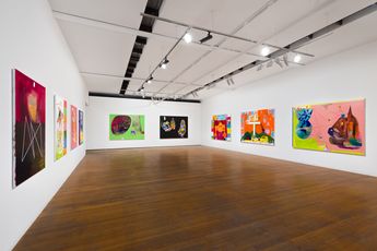 Contemporary art exhibition Gareth Sansom Gareth Sansom at Roslyn Oxley9 Gallery Sydney Australia