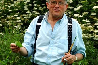 David Hockney contemporary artist