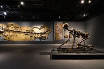 Tu Wei-Cheng contemporary artist
