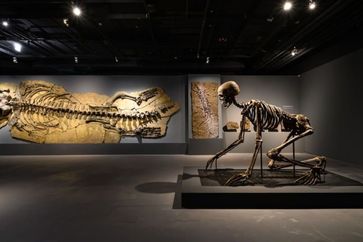 Tu Wei-Cheng contemporary artist