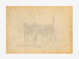 The Dogs Group by Lai Yu Tong contemporary artwork drawing mixed media works on paper