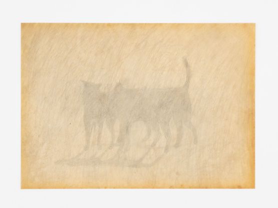 The Dogs Group by Lai Yu Tong contemporary artwork Works on Paper