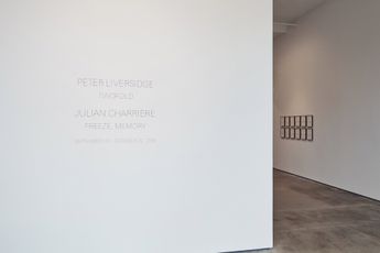 Contemporary art exhibition Peter Liversidge Twofold at Sean Kelly New York United States