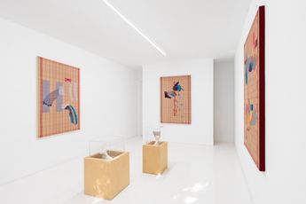 Contemporary art exhibition Miranda Fengyuan Zhang Perpetual Temptation at Capsule Shanghai China
