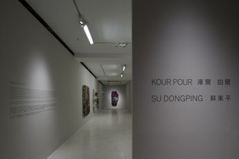 Contemporary art exhibition Su Dong Ping Kour Pour Two Solo Exhibitions at Pearl Lam Projects Hong Kong