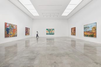 Contemporary art exhibition TARWUK Mit dem Frosch zu schmusen ist es unmoglich. at White Cube Masons Yard London United Kingdom