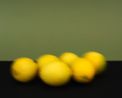 Six Lemons by Gavin Hipkins contemporary artwork Photography