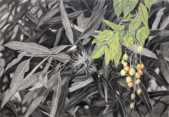 La tierra guarda su memoria II by Gabriela Bettini contemporary artwork Works on Paper