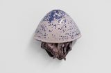 Quaps Okto by Gereon Krebber contemporary artwork