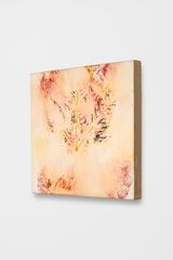 Efface 6 by Gabriel Orozco contemporary artwork painting