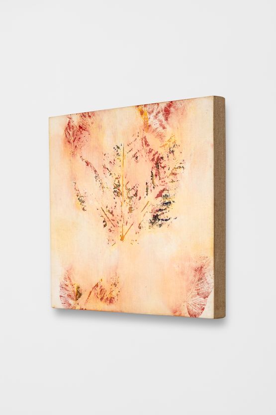 Efface 6 by Gabriel Orozco contemporary artwork Painting